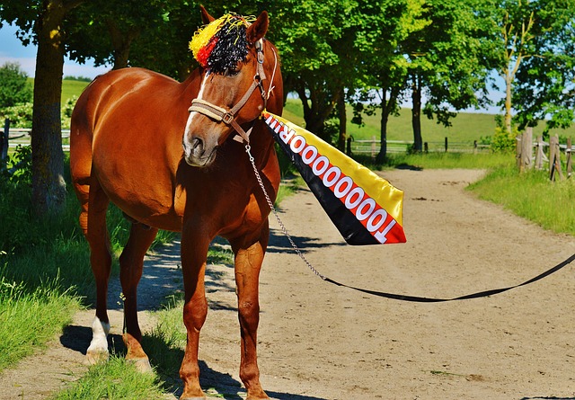 经济负担 经济负担