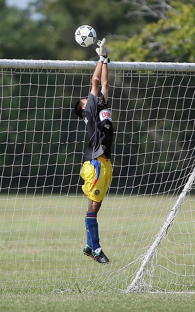 这些都是 这些都是