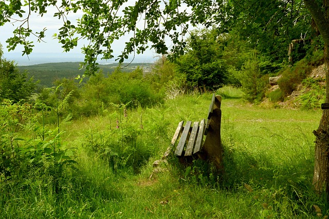 中超共有四 中超共有四